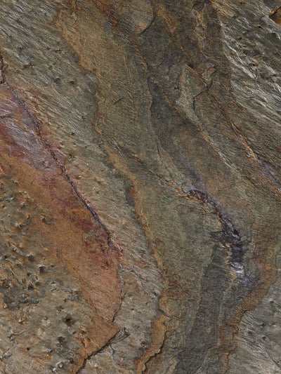 Burning Forest |  Natural Stone (Medium)