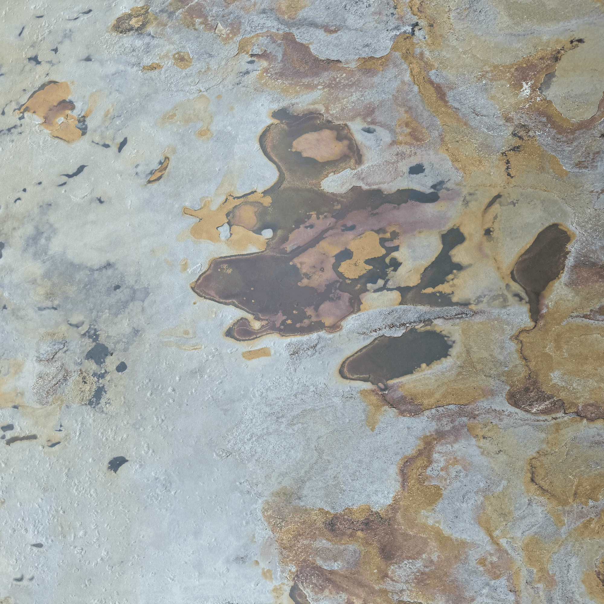 Indian Autumn - Delacopanels