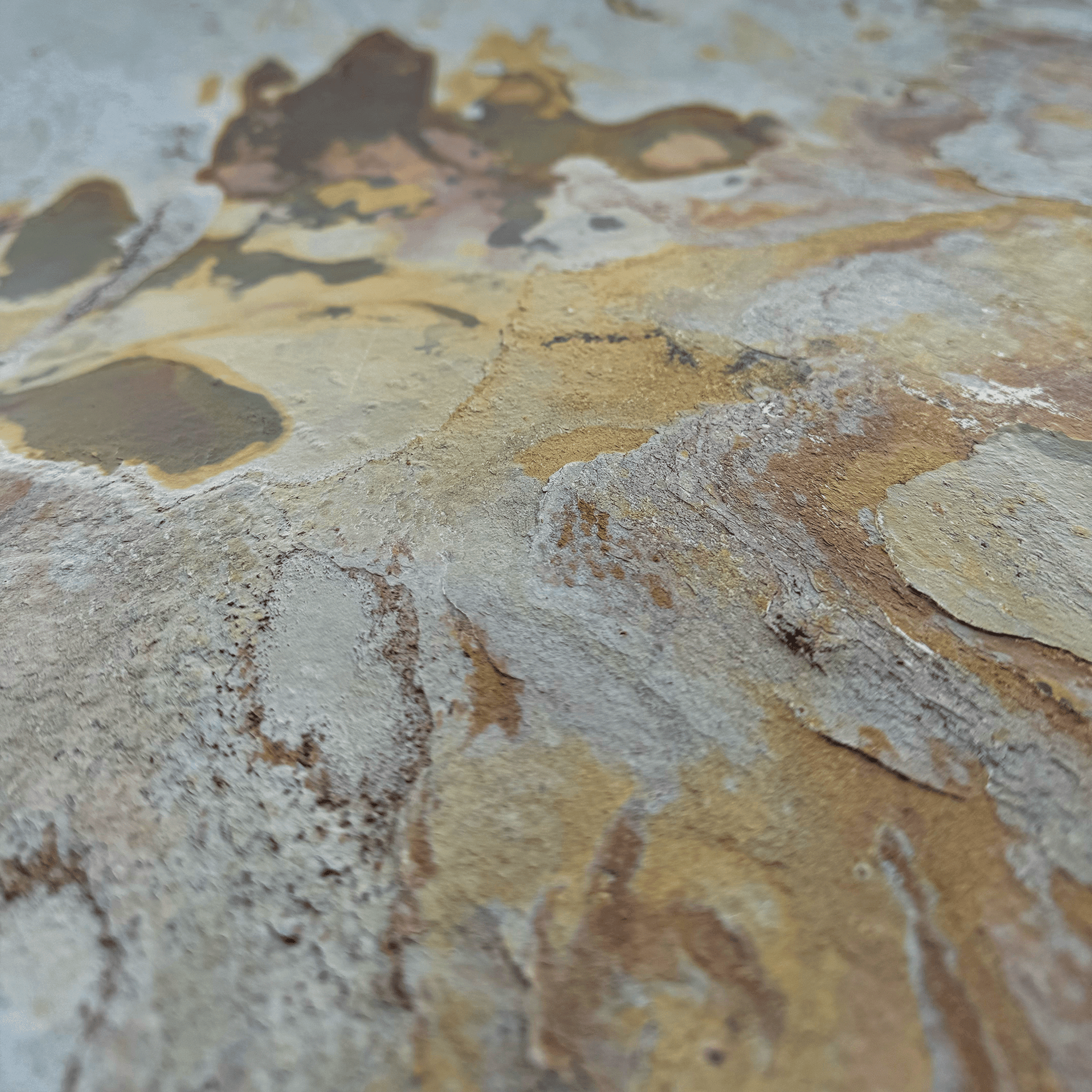 Indian Autumn - Delacopanels