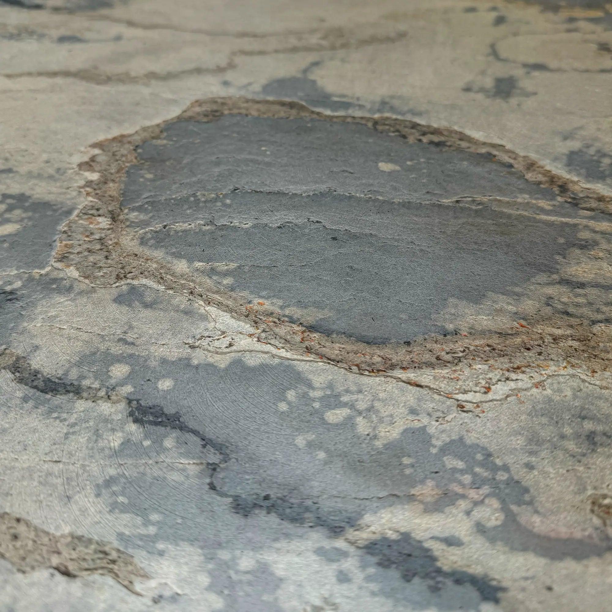 Autumn Rustic Translucent - Delacopanels